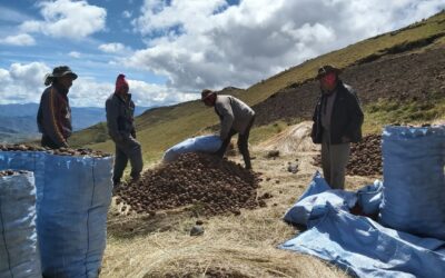 Kami-Bolívia: la importància de fomentar la sobirania alimentària