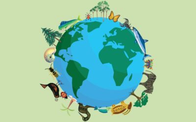 El valor de la biodiversidad