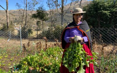 Mujeres indígenas desafían el patriarcado en Ayata, Bolivia