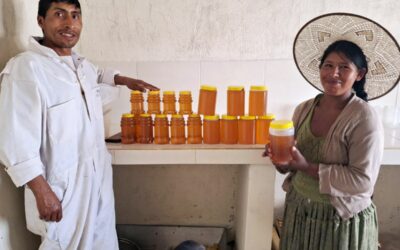 Mejorando salud y derechos humanos a partir de la miel