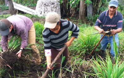Fortaleciendo las capacidades de las comunidades indígenas en Guaranda (Ecuador)