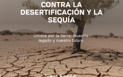 La Lucha contra la Desertificación y la Sequía: Un Compromiso Global