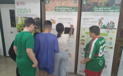 “Tenemos que cuidar más el planeta”