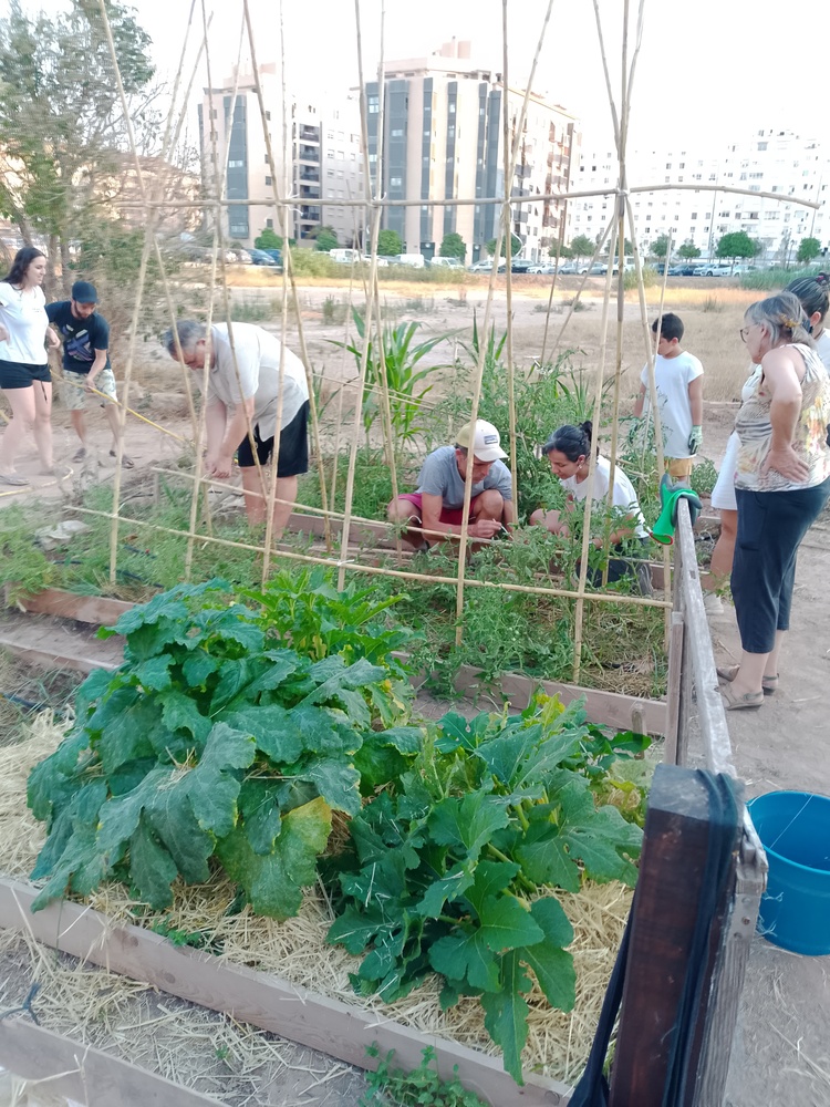Ecosocial