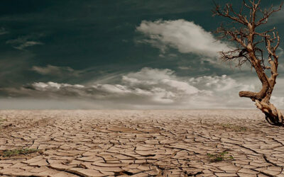 I si València es convertís en desert? El canvi climàtic ja no és futur: és present